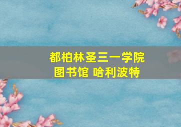 都柏林圣三一学院图书馆 哈利波特